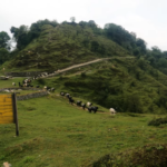 SCENIC MUNDUM RIDGE & ARUN VALLEY TREK